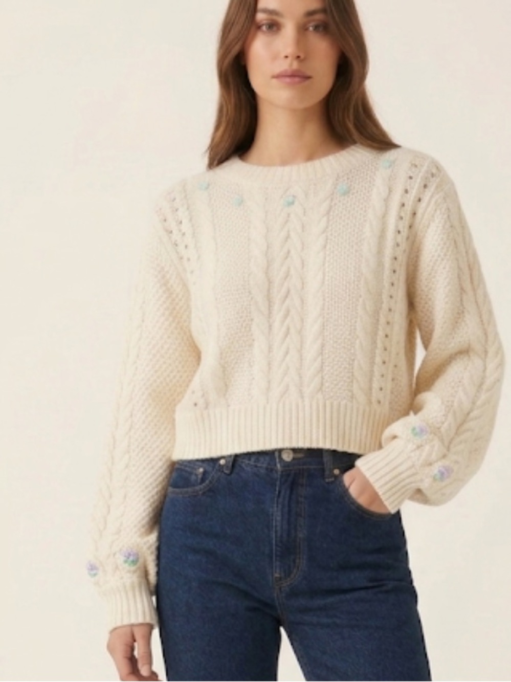 Wild Fable Embroidered Floral Cropped Cream Sweater